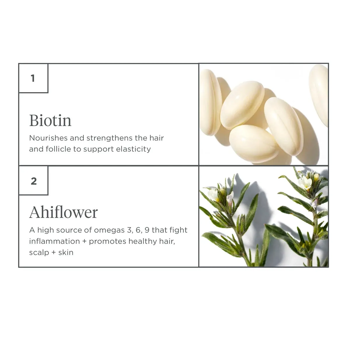 Destined For Density Vegan Omega 3, 6, 9   Biotin Supplements For Healthy Hair